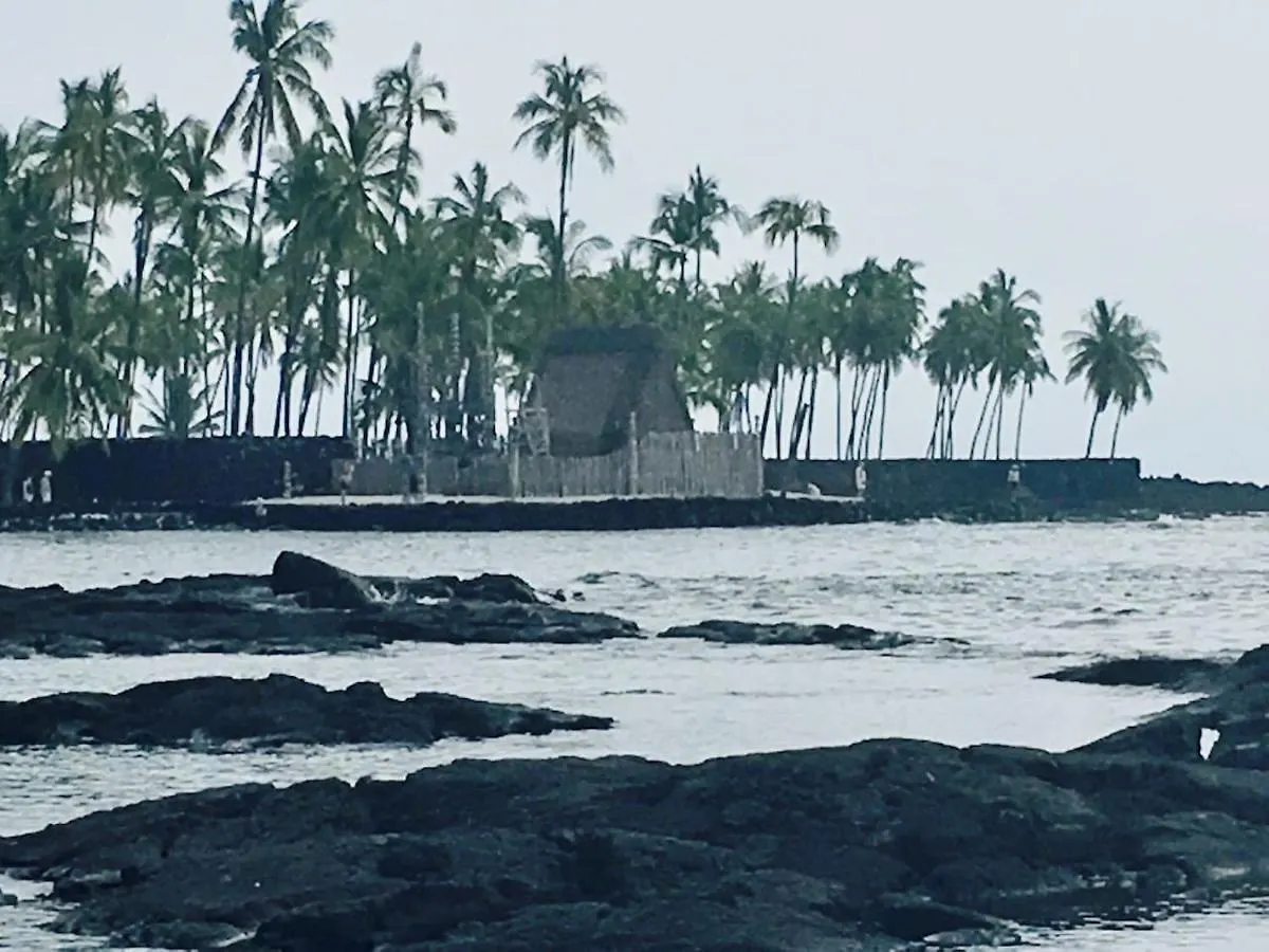 The Cozy Big Studio -30 Days Kailua-Kona Apartment