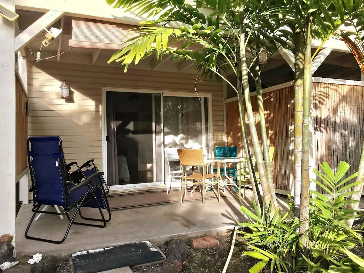 Apartment The Cozy Big Studio -30 Days Kailua-Kona