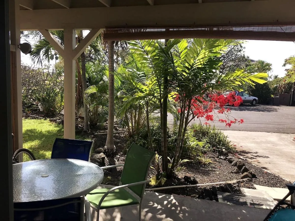 The Cozy Big Studio -30 Days Kailua-Kona Apartment