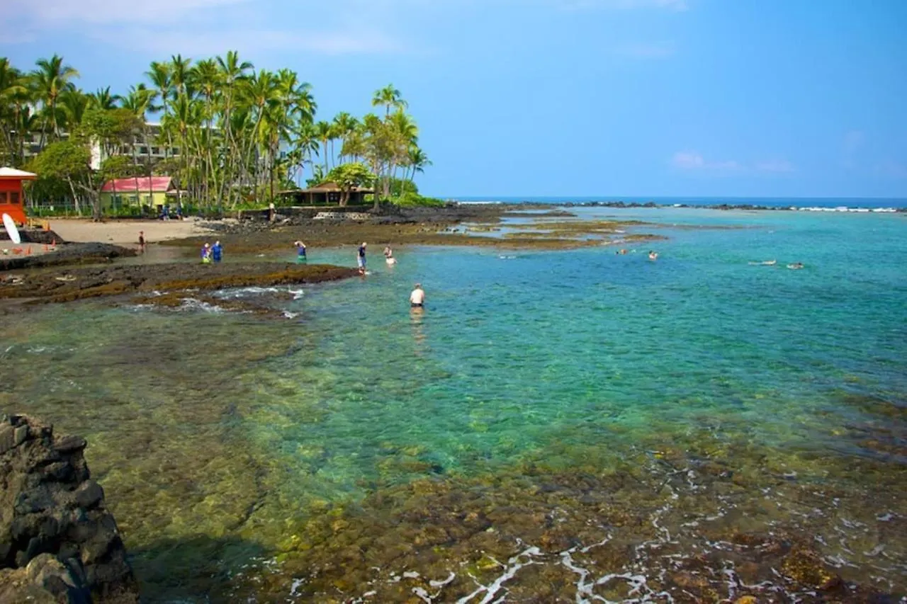 The Cozy Big Studio -30 Days Kailua-Kona 0*,